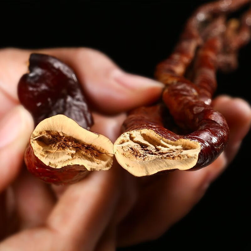 赤灵芝茶包装，红色为主色调，展示灵芝切片和茶叶混合包装